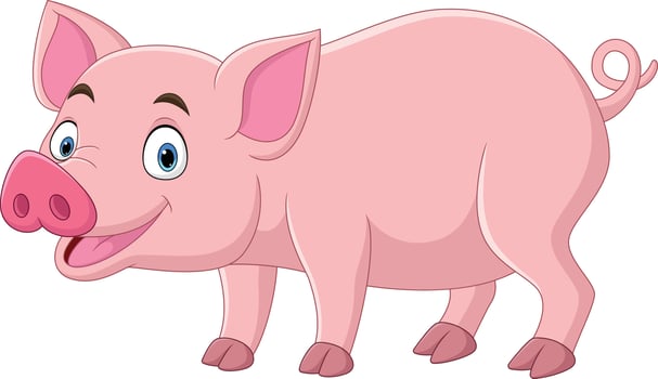 Cartoon funny pig on white background vector