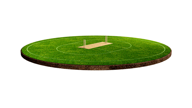 Cricket Stadium Front view on cricket pitch or ball sport game field, grass stadium or circle arena for cricketer series, green lawn or ground for batsman, bowler. Outfield 3D Illustration png