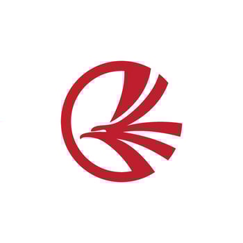 Falcon Logo Template vector