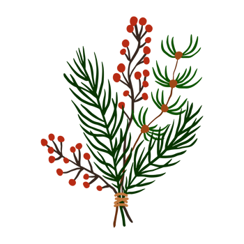 Wreath floral for Christmas png