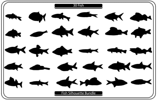 Set of fishes silhouettes,Fish vector Icon. Sea Food illustration symbol. Farm Element logo