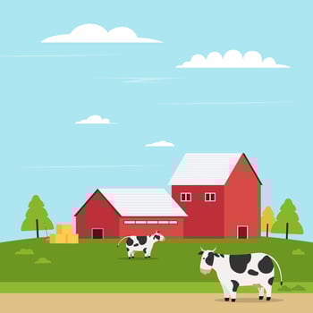Farmland on hill with cow vector illustration.Farm landscape flat style. Barn with nature landscape.