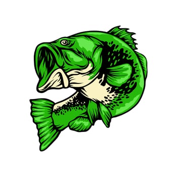 Bass Fish vector illustration