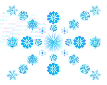 different snowflakes on a white background vector