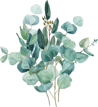 Watercolor eucalyptus bouquets, hand-drawn quality illustrations. Suitable for invitations, cards, weddings png