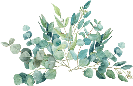 Watercolor eucalyptus bouquets, hand-drawn quality illustrations. Suitable for invitations, cards, weddings png