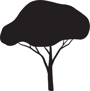 simplicity tree freehand silhouette drawing. png