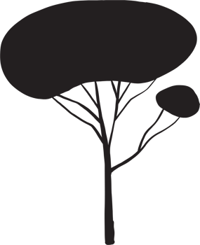 simplicity tree freehand silhouette drawing. png