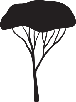 simplicity tree freehand silhouette drawing. png