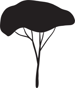 simplicity tree freehand silhouette drawing. png