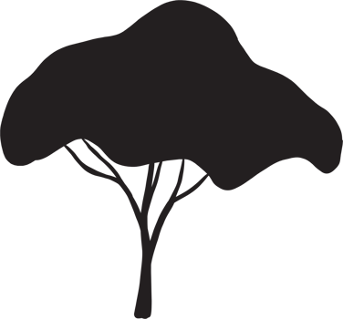simplicity tree freehand silhouette drawing. png