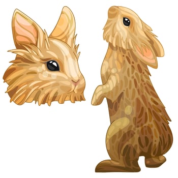 A set of cartoon Christmas drawn animals. Breed of  Lionhead rabbit vector