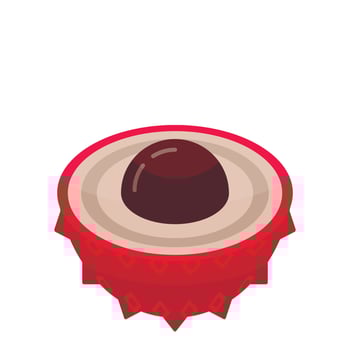 Half lychees icon, isometric style vector