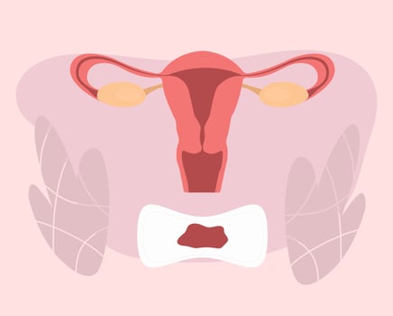 icon of theme women's health with uterus and pad with red blood track on pink backgroundicon, sticker, flat illustration of theme women's health with uterus and pad with red track on pink background vector