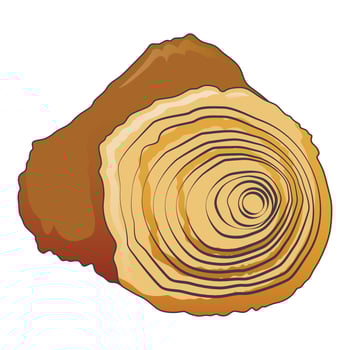 Circle tree stump icon, cartoon style vector
