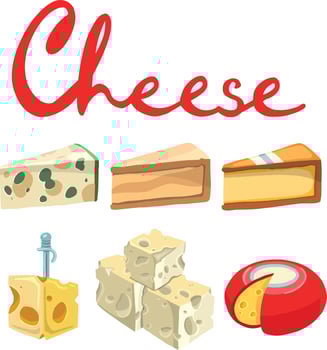 Cheese types. Modern flat style realistic vector illustration icons isolated on white background.