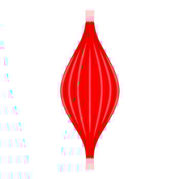 Human muscles vector illustration on white background. Healthy muscles design concept in red.