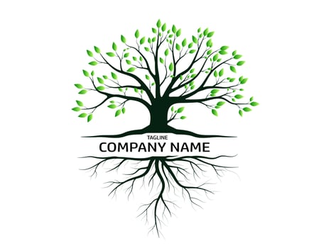 Trees and root with green leaves look beautiful and refreshing. Tree and roots LOGO style. vector