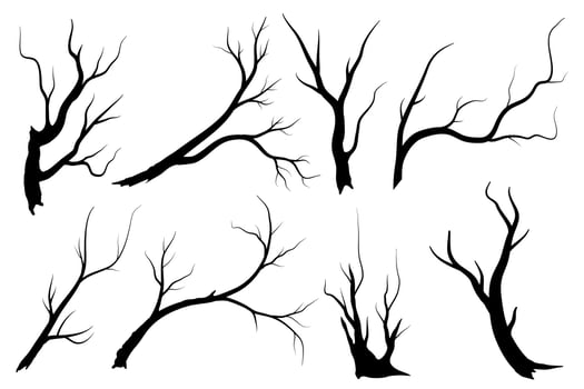 Black Branch Tree or Naked trees silhouettes set. Hand drawn isolated illustrations. vector
