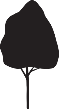simplicity tree freehand silhouette drawing. png