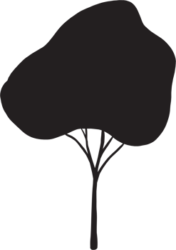simplicity tree freehand silhouette drawing. png