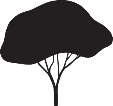 simplicity tree freehand silhouette drawing. png