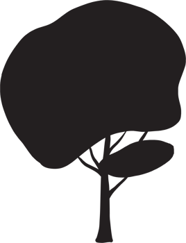 simplicity tree freehand silhouette drawing. png