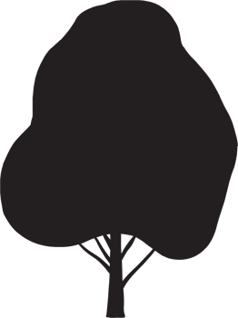simplicity tree freehand silhouette drawing. png