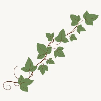 Floral ivy drawing decorative ornament flat design. vector