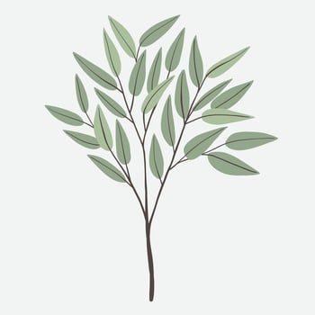 Freehand drawing of Eucalyptus branch. vector
