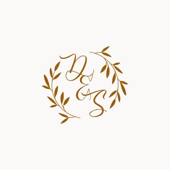 DS initial wedding monogram logo vector
