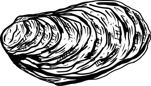 Oyster hand drawing vintage engraving illustration on white background vector