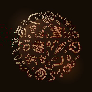 Helminth Circle shaped Banner - vector Helminths round colored illustration