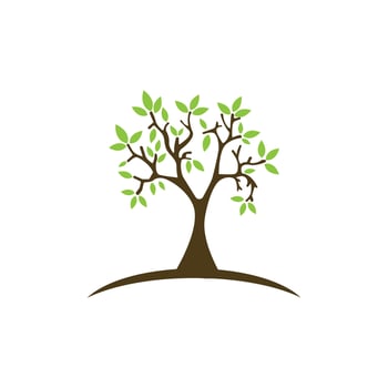family tree logo template vector