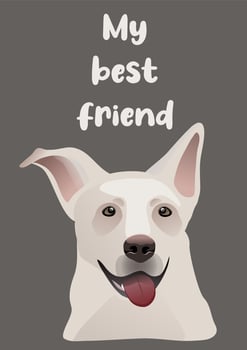 poster with a cute dog. My best friend. T-shirt print graphics vector