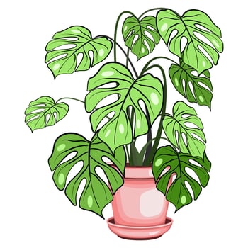 Monstera houseplant in the ceramic pot vector