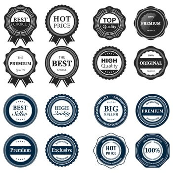 Set of retro vintage badges vector