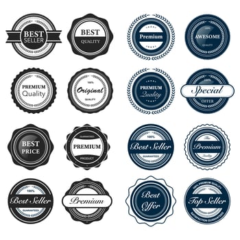 Set of retro vintage badges vector