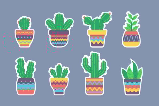Cactus and Succulents Stickers Collection Set vector