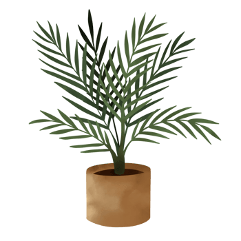 Potted Plants Illustration. House Plants. png