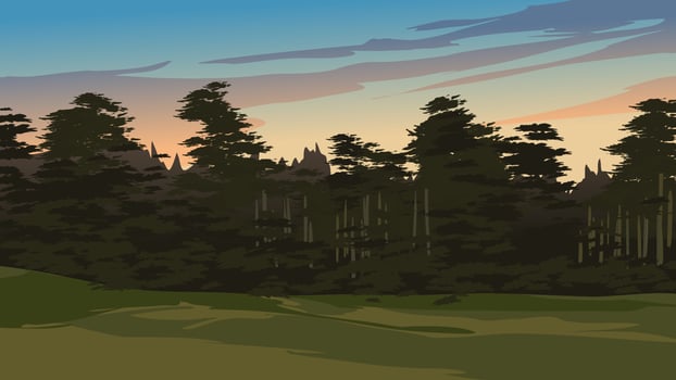 Forest and meadow at sunset landscape illustration. Vector scenery illustration