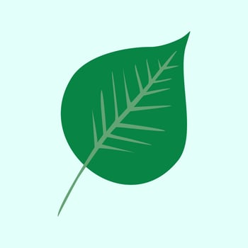 Tropical leaf vector design