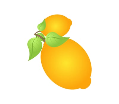 illustration of an orange vector