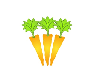 hand holding carrots vector