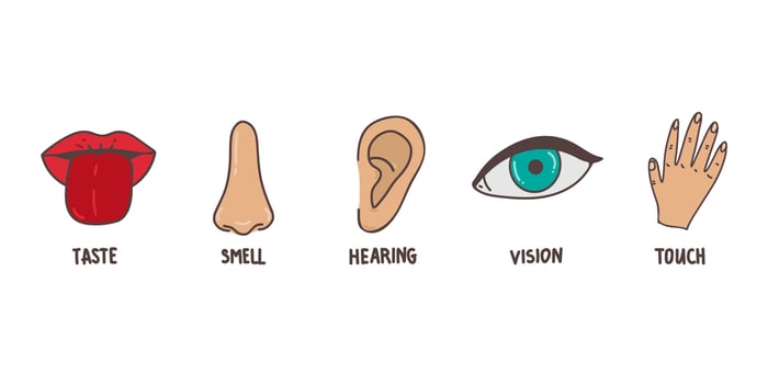 Five human senses line icons set. Vision, smell, hearing, touch, taste icons. Human sensory organs. Eye, nose, ear, hand, mouth icon set. vector