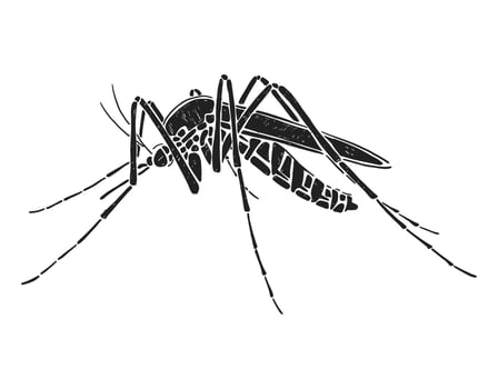 Mosquito silhouette. Black and white vector illustration