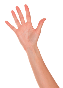 Female hand isolated png