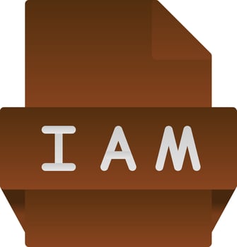 Iam File Format Icon vector