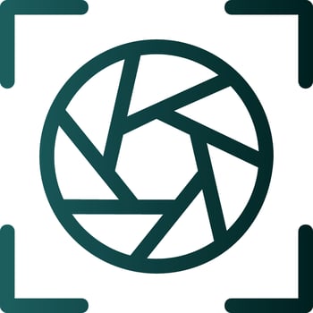 Camera Frame Flat Icon vector