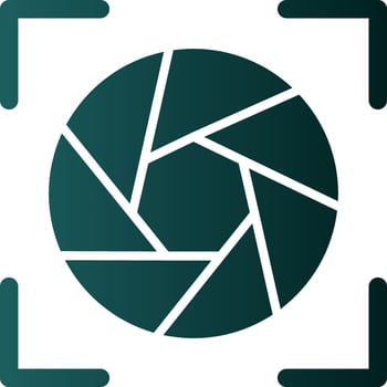 Camera Frame Flat Icon vector